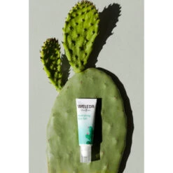 Weleda Ooggel Vijgencactus Hydraterend 8 Weleda Ooggel Vijgencactus Hydraterend -Clarins Verkoopwinkel 1011832 3