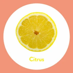 6x Dettol Handzeep Antibacterieel Citrus 8 6x Dettol Handzeep Antibacterieel Citrus -Clarins Verkoopwinkel 1014562 3