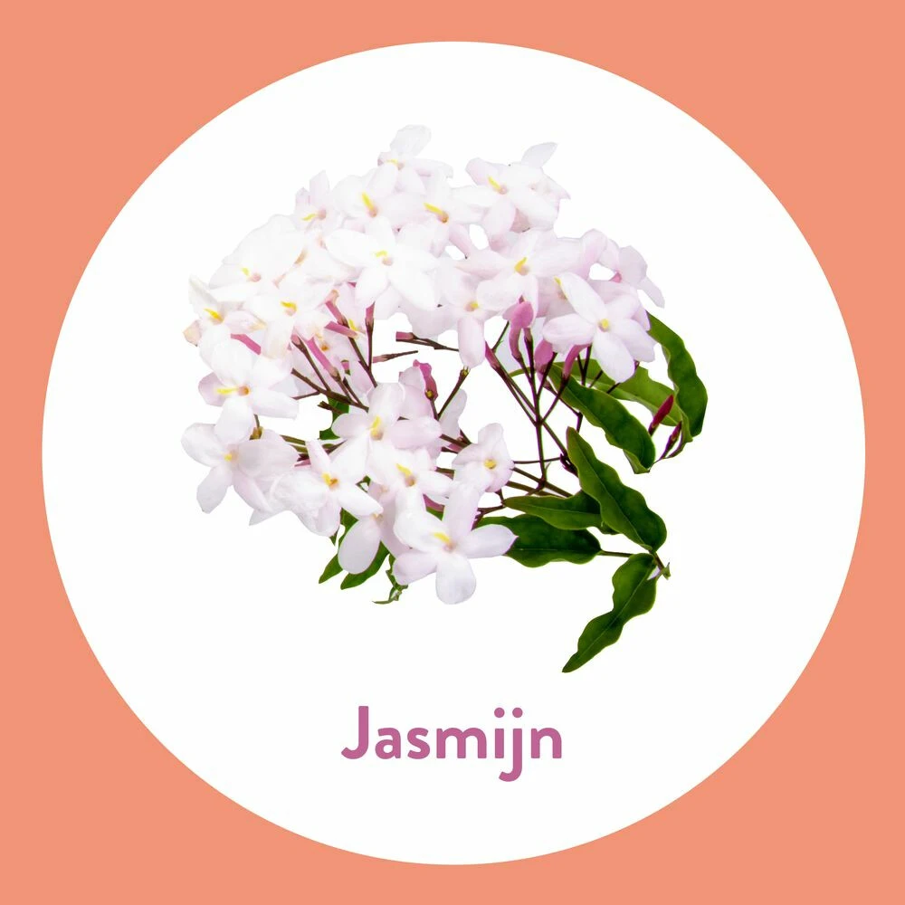 6x Dettol Handzeep Antibacterieel Jasmijn 5 6x Dettol Handzeep Antibacterieel Jasmijn - Afbeelding 3