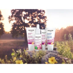 Weleda Nachtcrème Evening Primrose -Clarins Verkoopwinkel 974002 4